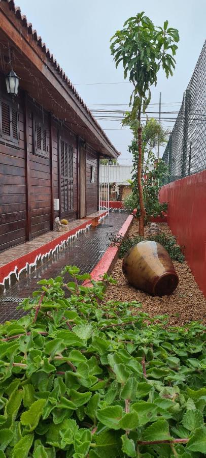 Rural San Antonio Villa Candelaria Buitenkant foto
